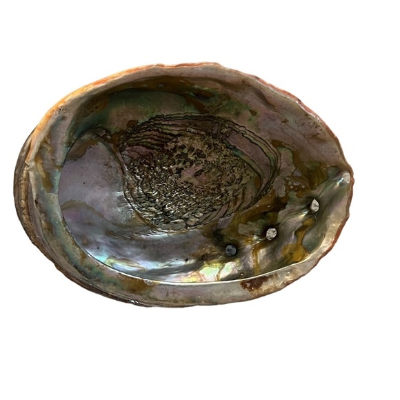 Abalone Shell Large Red Dish shaped Lustre Iridescent Shiny - Picture 3 of 8